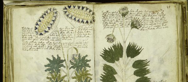 Unas páginas del Manuscrito de Voynich (imagen referencial) Unas páginas del Manuscrito de Voynich (imagen referencial) - Sputnik Mundo