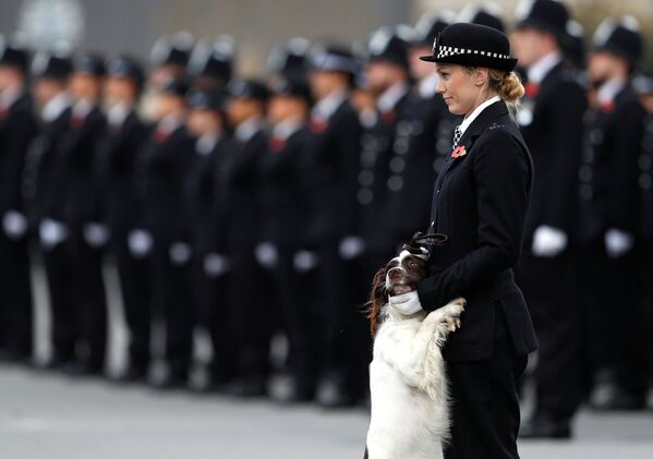 Damas de acero: mujeres policía de todo el mundo - Sputnik Mundo