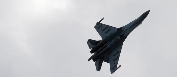 Un Su-27 ruso Un Su-27 ruso - Sputnik Mundo