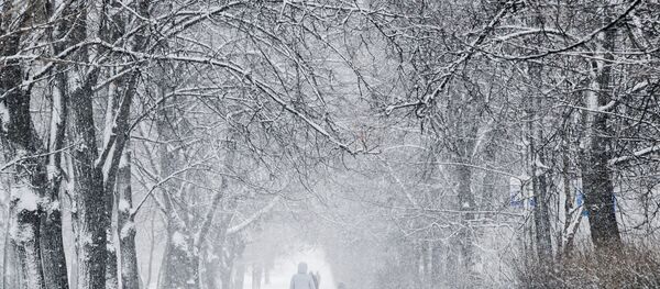 Una nevada en Moscú - Sputnik Mundo