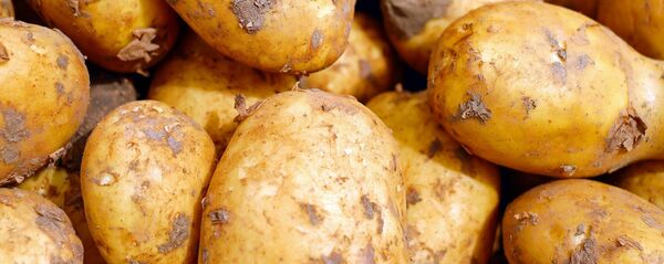 Patatas - Sputnik Mundo