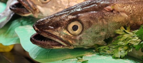 Pescado (imagen referencial) - Sputnik Mundo