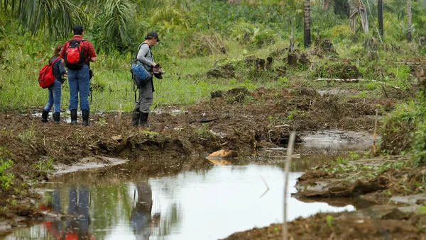 Los representantes del Convenio de Ramsar buscan daños ambientales en la Isla Portillos