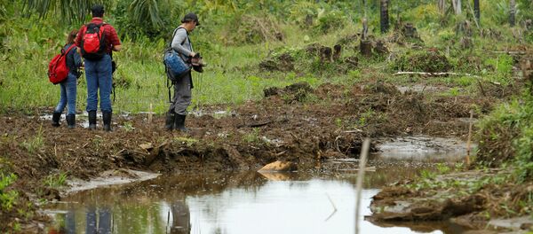 Los representantes del Convenio de Ramsar buscan daños ambientales en la Isla Portillos - Sputnik Mundo