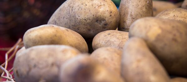 Patatas (imagen referencial) Patatas (imagen referencial) - Sputnik Mundo
