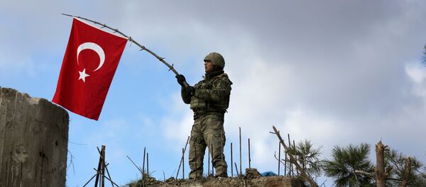 Soldado turco en Afrín - Sputnik Mundo