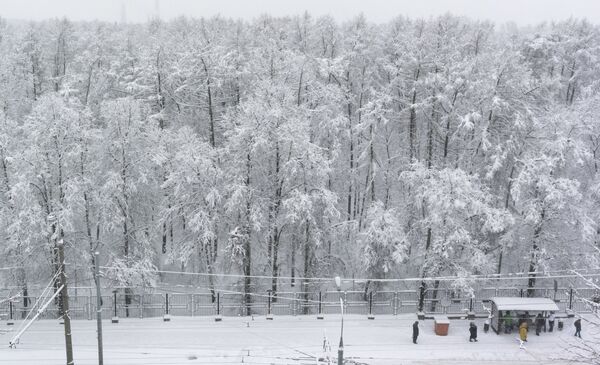 Un parque en Moscú - Sputnik Mundo