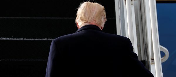 El presidente de EEUU, Donald Trump - Sputnik Mundo