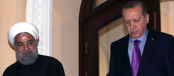 El presidente de Turquía Recep Tayyip Erdogan y el presidente de Irán Hasán Rohaní (archivo) - Sputnik Mundo