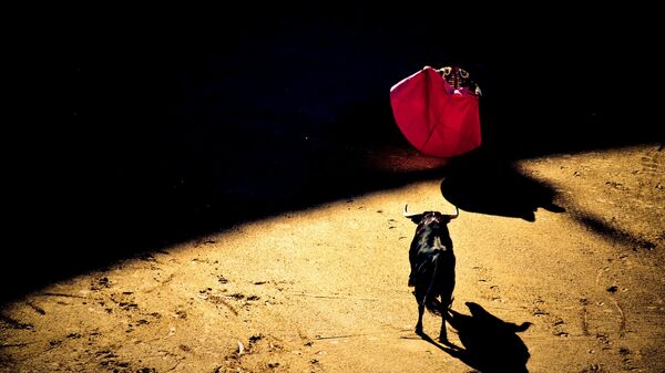 Corrida de toros (imagen referencial) - Sputnik Mundo