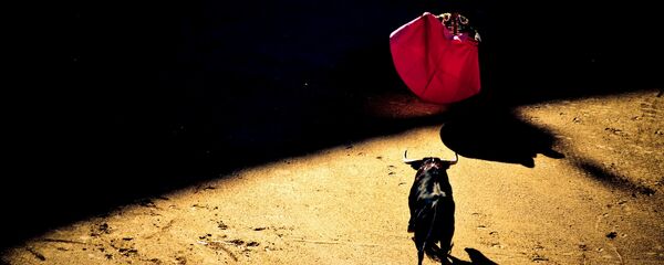 Corrida de toros (imagen referencial) - Sputnik Mundo