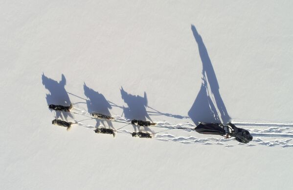 Estas han sido las imágenes más destacadas de la semana - Sputnik Mundo