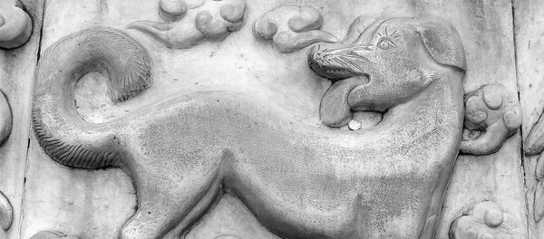 Símbolo del perro en el horóscopo chino - Sputnik Mundo