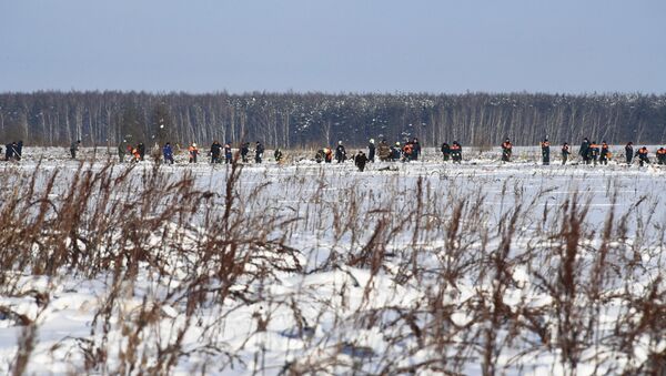 Lugar del siniestro del avión de pasajeros An-148 Lugar del siniestro del avión de pasajeros An-148 - Sputnik Mundo