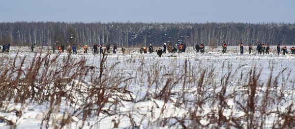 Lugar del siniestro del avión de pasajeros An-148 - Sputnik Mundo
