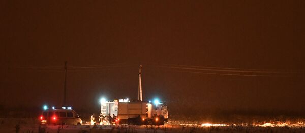 Lugar del siniestro del avión de pasajeros An-148 - Sputnik Mundo