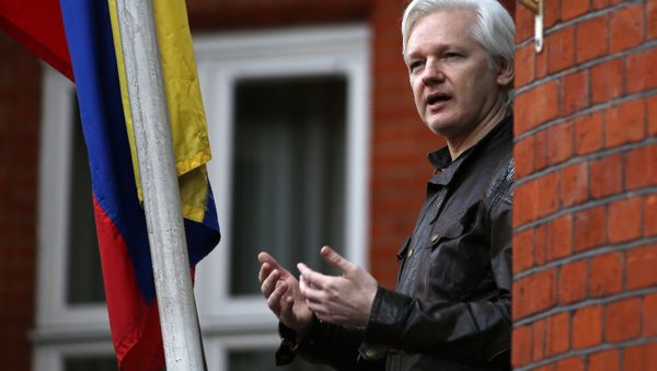 Julian Assange, el fundador de Wikileaks Julian Assange, el fundador de Wikileaks - Sputnik Mundo