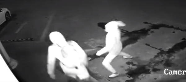 Crimen imperfecto: un ladrón frustra un robo por noquear a su colega con un ladrillo - Sputnik Mundo