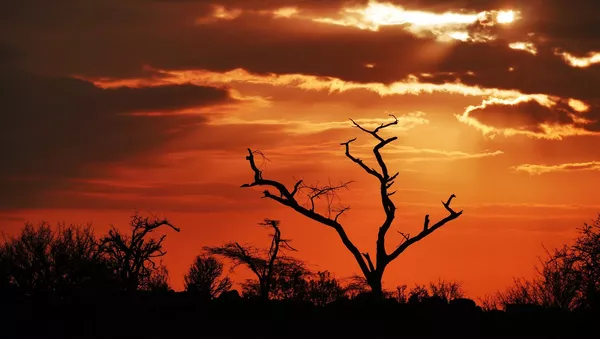 Amanecer en África