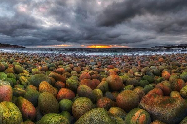 La 'Rusia primigenia': estas son algunas de las fotos más impactantes de la naturaleza rusa - Sputnik Mundo