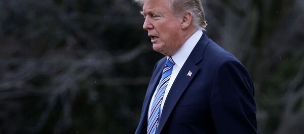 Donald Trump, el presidente de Estados Unidos - Sputnik Mundo