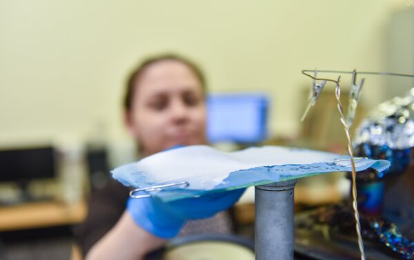 La venda biodegradable - Sputnik Mundo