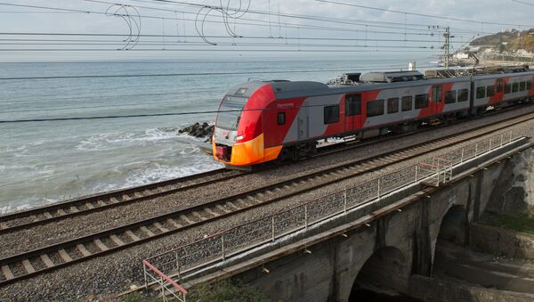 El tren de la empresa ferroviaria RZhD - Sputnik Mundo
