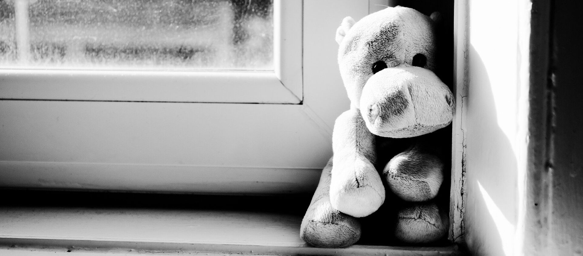 Juguete hipopótamo de peluche triste - Sputnik Mundo, 1920, 14.01.2020