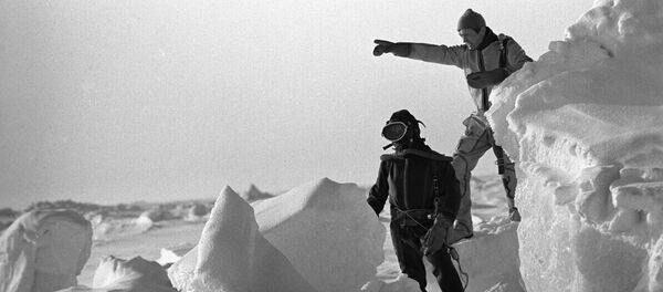 Un viaje por todas las estaciones polares de Rusia - Sputnik Mundo