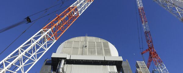 Sarcófago sobre el reactor de la central nuclear japonesa Fukushima-1 - Sputnik Mundo