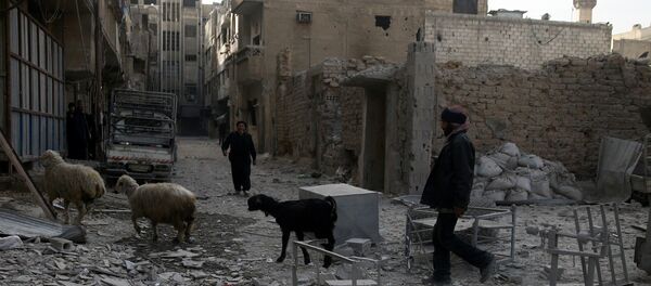 Situación en Guta Oriental siria - Sputnik Mundo