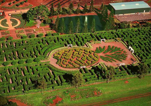 Dole Plantation: The Maze - Sputnik Mundo