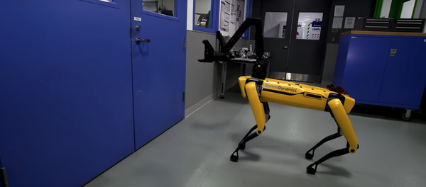 Boston Dynamics pone al límite a sus robots - Sputnik Mundo