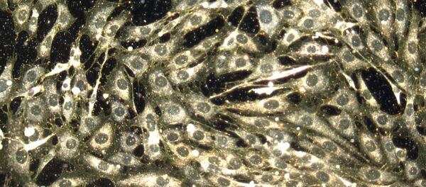 Nanopartículas (imagen referencial) - Sputnik Mundo