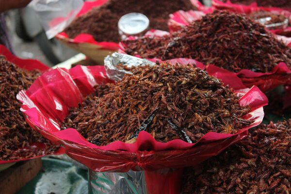 Se muestra un acercamiento a un montón de chapulines cocinados y en venta en un puesto afuera del mercado en el centro de Oaxaca. Se muestra un acercamiento a un montón de chapulines cocinados y en venta en un puesto afuera del mercado en el centro de Oaxaca. - Sputnik Mundo