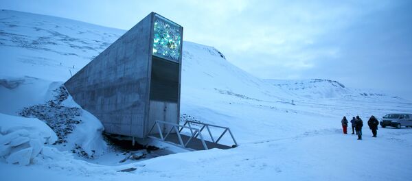La Bóveda Global de Semillas de Svalbard - Sputnik Mundo