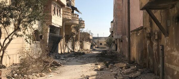 Situación en Afrín - Sputnik Mundo