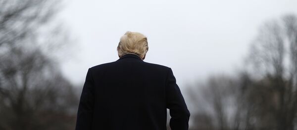 Donald Trump, presidente de EEUU (archivo) - Sputnik Mundo