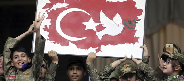 Un cartel a favor de la Operación Rama de Olivo - Sputnik Mundo