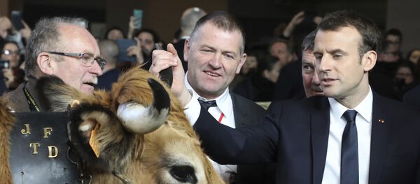 Emmanuel Macron, el presidente de Francia - Sputnik Mundo