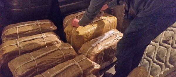 Cocaína encontrada en el edificio de la embajada rusa en Buenos Aires, Argentina - Sputnik Mundo