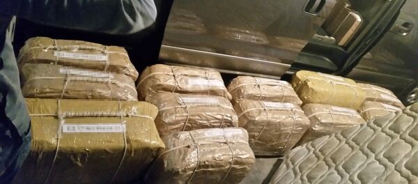 Cocaína encontrada en el edificio de la embajada rusa en Buenos Aires, Argentina - Sputnik Mundo
