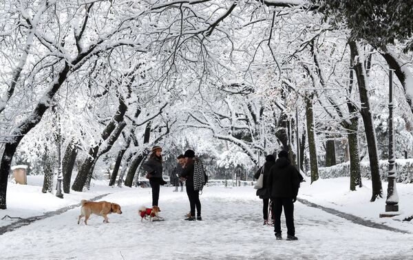 Villa Borghese en Roma tras una fuerte nevada Villa Borghese en Roma tras una fuerte nevada - Sputnik Mundo
