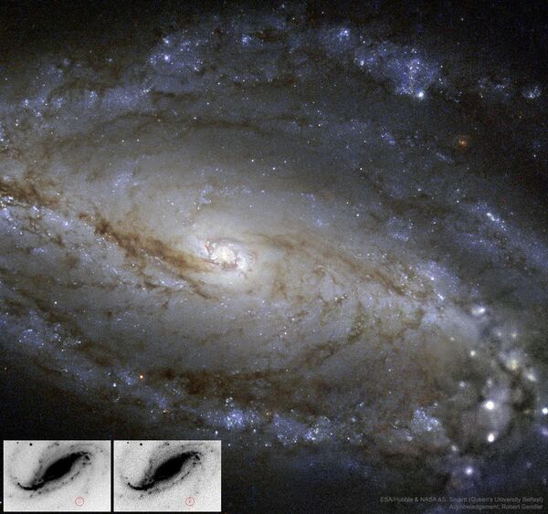 La galaxia espiral NGC 613 y las imágenes obtenidas por Víctor Buso La galaxia espiral NGC 613 y las imágenes obtenidas por Víctor Buso - Sputnik Mundo