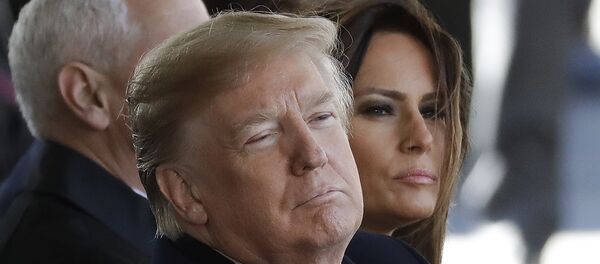 Donald Trump, presidente de EEUU - Sputnik Mundo