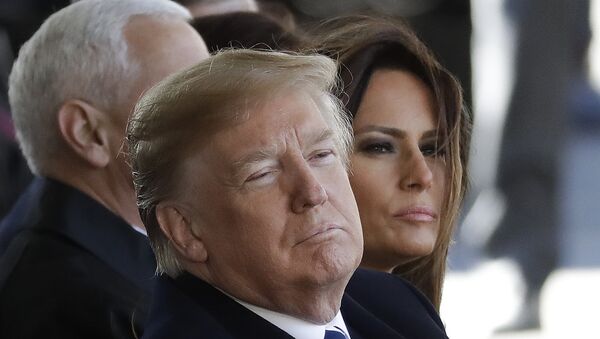 Donald Trump, presidente de EEUU Donald Trump, presidente de EEUU - Sputnik Mundo