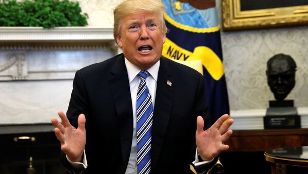 Donald Trump, presidente de EEUU Donald Trump, presidente de EEUU - Sputnik Mundo