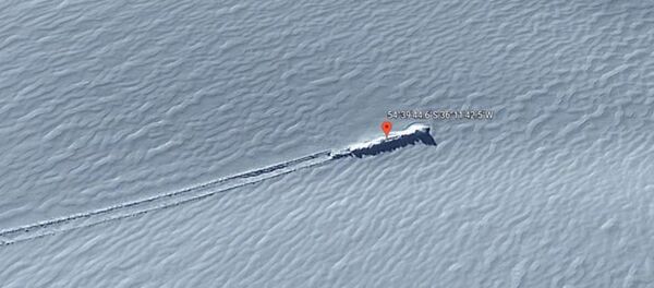 La vistade las Islas Georgias del Sur - Sputnik Mundo