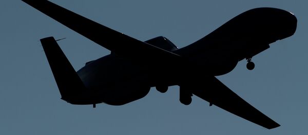 Dron de EEUU Global Hawk Dron de EEUU Global Hawk - Sputnik Mundo