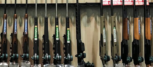 Venta de armas en EEUU - Sputnik Mundo